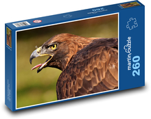 Orol - dravý vták Puzzle 260 dielikov - 41 x 28,7 cm 