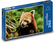 Panda červená - mláďa Puzzle 260 dielikov - 41 x 28,7 cm 