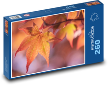 Listy javoru japonského Puzzle 260 dílků - 41 x 28,7 cm