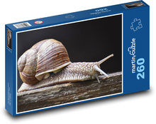 Šnek - hlemýžď, ulita Puzzle 260 dílků - 41 x 28,7 cm