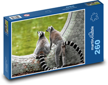Lemur - małpa w zoo Puzzle 260 elementów - 41x28,7 cm