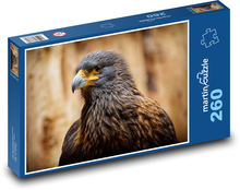 Myszołów - ptak drapieżny Puzzle 260 elementów - 41x28,7 cm