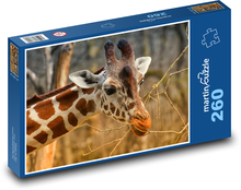 Żyrafa - sawanna, zoo Puzzle 260 elementów - 41x28,7 cm