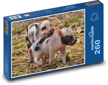 Prosięta, młode, świnie Puzzle 260 elementów - 41x28,7 cm