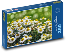Daisies - flower, garden Puzzle 260 pieces - 41 x 28.7 cm 