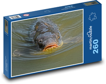 Karp - staw, ryba Puzzle 260 elementów - 41x28,7 cm