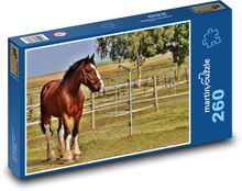 Kůň - ohrada, jízda na koni Puzzle 260 dílků - 41 x 28,7 cm