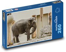 Slon - Afrika, zvíře Puzzle 260 dílků - 41 x 28,7 cm