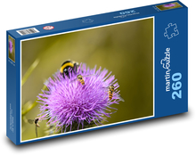 Thistle - bumblebee, flower Puzzle 260 pieces - 41 x 28.7 cm 