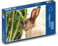 Rabbit - a pet Puzzle 260 pieces - 41 x 28.7 cm 