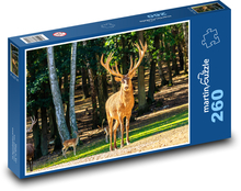 Divoká zvěř - jelen, zvíře Puzzle 260 dílků - 41 x 28,7 cm