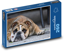 Hund, Bulldogge, Welpe Puzzle 260 Teile - 41 x28,7 cm