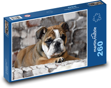 Štěně - buldok, pes Puzzle 260 - 41x28,7 cm