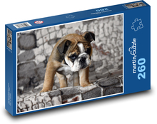 Buldog - szczeniak, piesek Puzzle 260 elementów - 41x28,7 cm