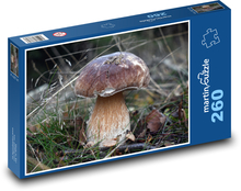 Mushroom - boletus, autumn Puzzle 260 pieces - 41 x 28.7 cm 