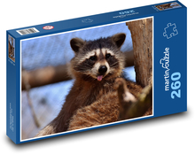 Waschbär - Säugetier, Tier Puzzle 260 Teile - 41 x28,7 cm