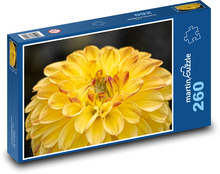 Žlutá jiřina - zahradní květina Puzzle 260 dílků - 41 x 28,7 cm