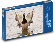 Káčer - vodný vták Puzzle 260 dielikov - 41 x 28,7 cm 