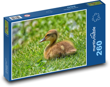 Kachňátko - roztomilé zvíře Puzzle 260 dílků - 41 x 28,7 cm