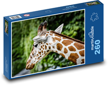 Žirafa - Afrika, zoo Puzzle 260 dílků - 41 x 28,7 cm