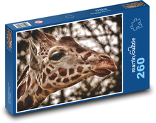Žirafa - zoo, Afrika Puzzle 260 dílků - 41 x 28,7 cm