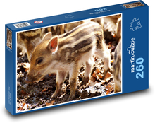 Wildschwein - Schwein, Ferkel Puzzle 260 Teile - 41 x28,7 cm