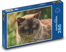 Britisch Kurzhaar - Haustier Puzzle 260 Teile - 41 x28,7 cm