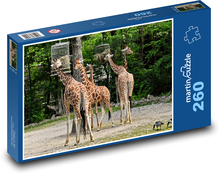 Žirafy - divoké zvíře, Afrika Puzzle 260 dílků - 41 x 28,7 cm