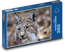 Lynx - wildcat, wild animal Puzzle 260 pieces - 41 x 28.7 cm 