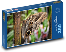 Motýl - hmyz, zvíře Puzzle 260 dílků - 41 x 28,7 cm