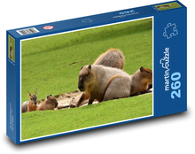 Kapybary na trávě Puzzle 260 - 41x28,7 cm