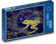 Žába - rybník, zvíře Puzzle 260 dílků - 41 x 28,7 cm