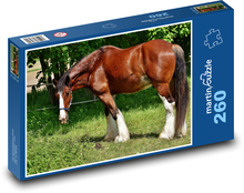 Horse - farm, animal Puzzle 260 pieces - 41 x 28.7 cm 