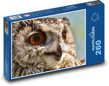 Sowa - ptak, zwierzę Puzzle 260 elementów - 41x28,7 cm