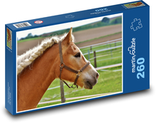 Pferd - Mähne, Zöpfe Puzzle 260 Teile - 41 x28,7 cm