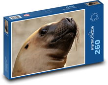 Uškatec - zviera, more Puzzle 260 dielikov - 41 x 28,7 cm 