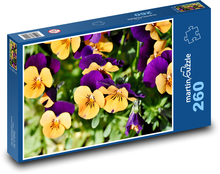 Maceška - jar, kvet Puzzle 260 dielikov - 41 x 28,7 cm 