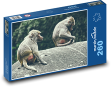 Paviáni - opice, zoo Puzzle 260 dílků - 41 x 28,7 cm