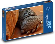 Obrie korytnačka - chodidlo, zviera Puzzle 260 dielikov - 41 x 28,7 cm