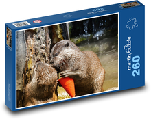 Otter - Säugetier, Tiere Puzzle 260 Teile - 41 x28,7 cm