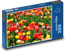 Tulipány - zahrada, jarní květiny Puzzle 260 dílků - 41 x 28,7 cm