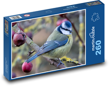 Tit - bird, nature Puzzle 260 pieces - 41 x 28.7 cm 