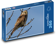 Kestrel - predator, bird Puzzle 260 pieces - 41 x 28.7 cm