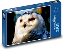 Snow owl - bird, animal Puzzle 260 pieces - 41 x 28.7 cm 