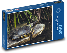 Schildkröte - Reptil, Teich Puzzle 260 Teile - 41 x28,7 cm