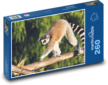 Lemur - Tier, Affe Puzzle 260 Teile - 41 x28,7 cm