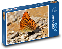 Motýl - hmyz, příroda Puzzle 260 dílků - 41 x 28,7 cm