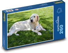 Golden retriever and rabbit in the garden Puzzle 260 pieces - 41 x 28.7 cm 