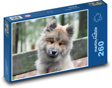 Pes - štěně, zvíře Puzzle 260 dílků - 41 x 28,7 cm