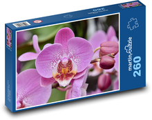Ružová orchidea - kvetina, kvet Puzzle 260 dielikov - 41 x 28,7 cm 